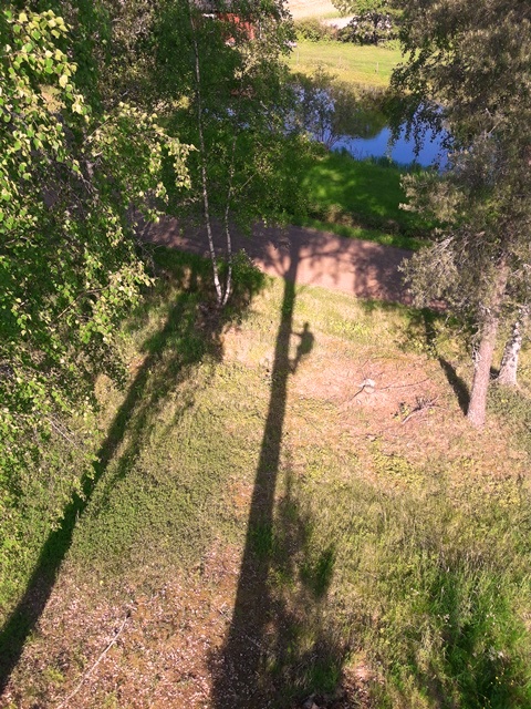 Puunhoitaja matkalla työpaikalleen.